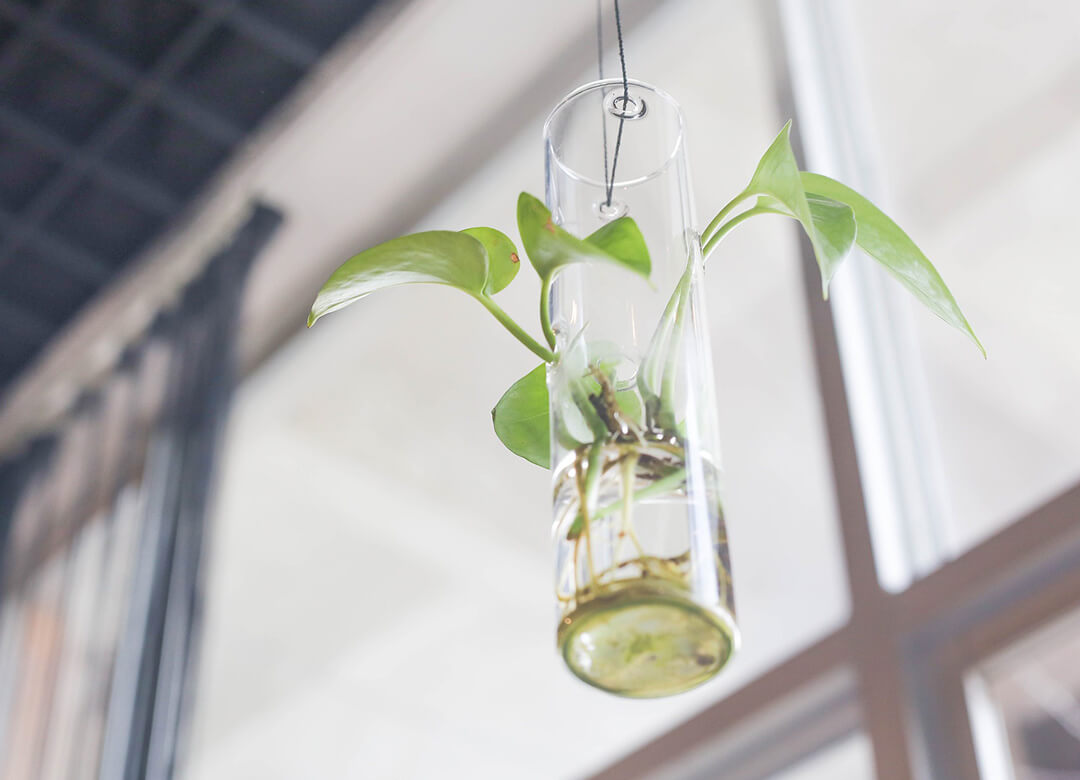 メインビジュアル